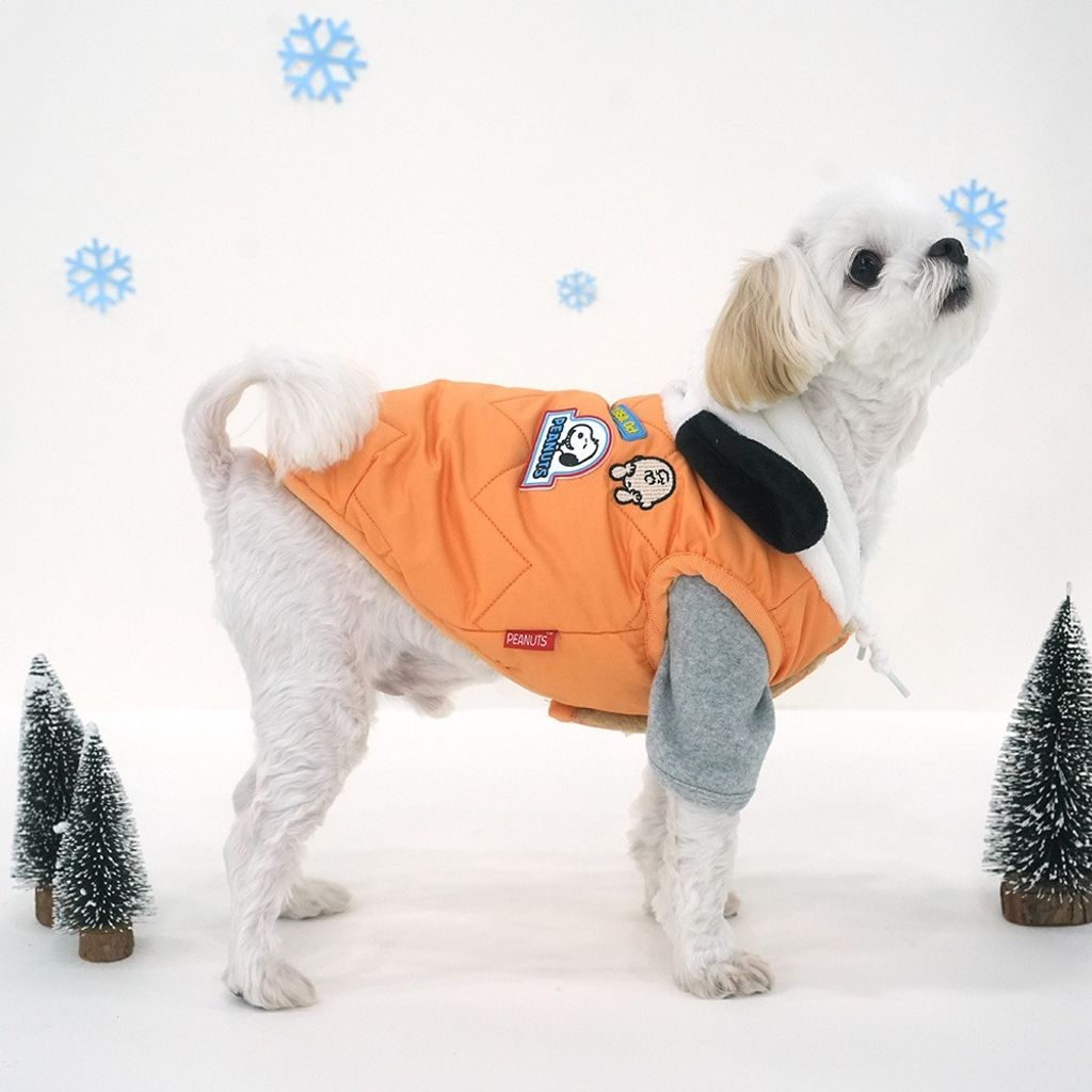 imgi_17_e760eafbc90383485df5f1f68e7c52ed