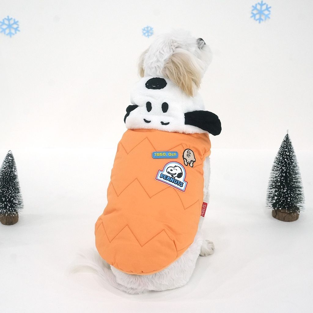 imgi_19_22b419537b4a39dfc172b581e01a82d4