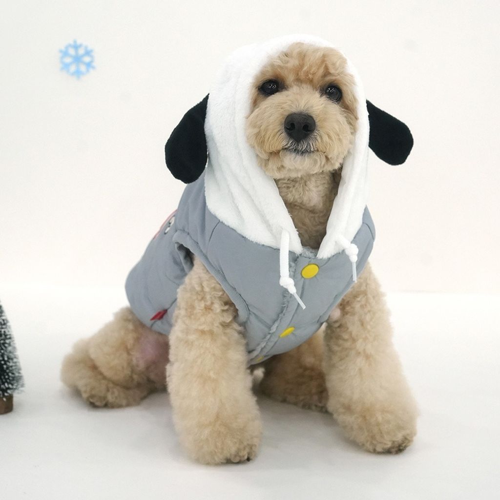 imgi_16_fb004a7499f949af566ade900ef673c7