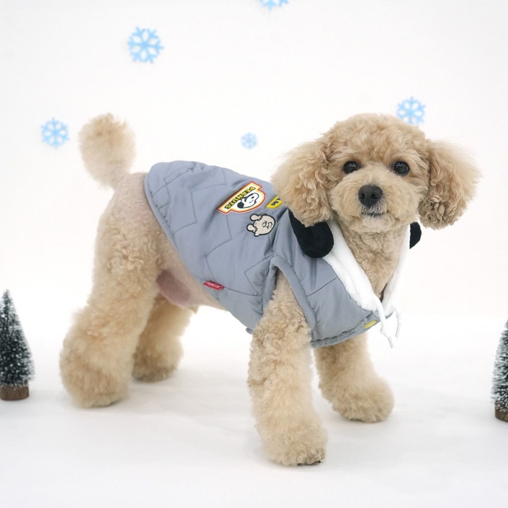 imgi_20_fc54748a10d835b74ea8dc04a38dfc3a