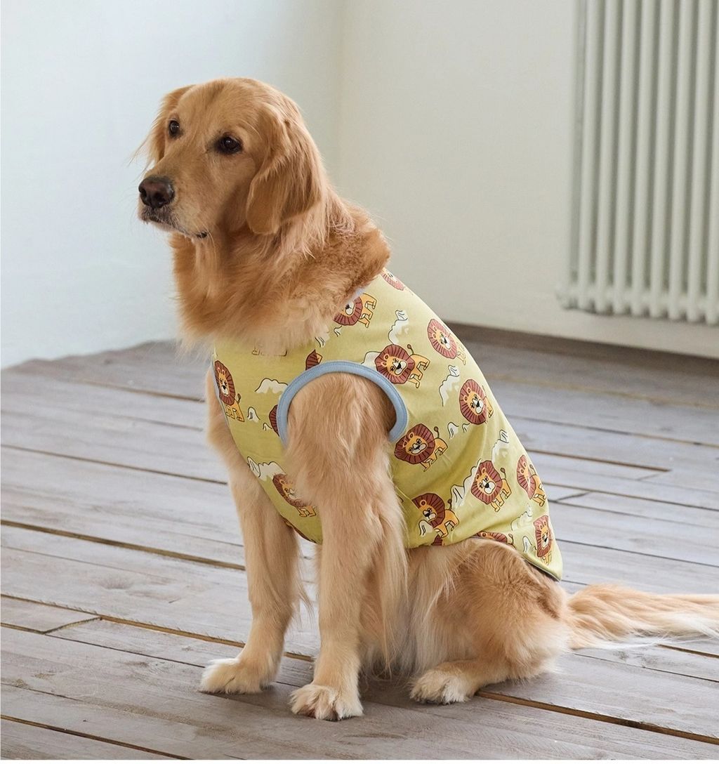 imgi_83_8d77833c069c812