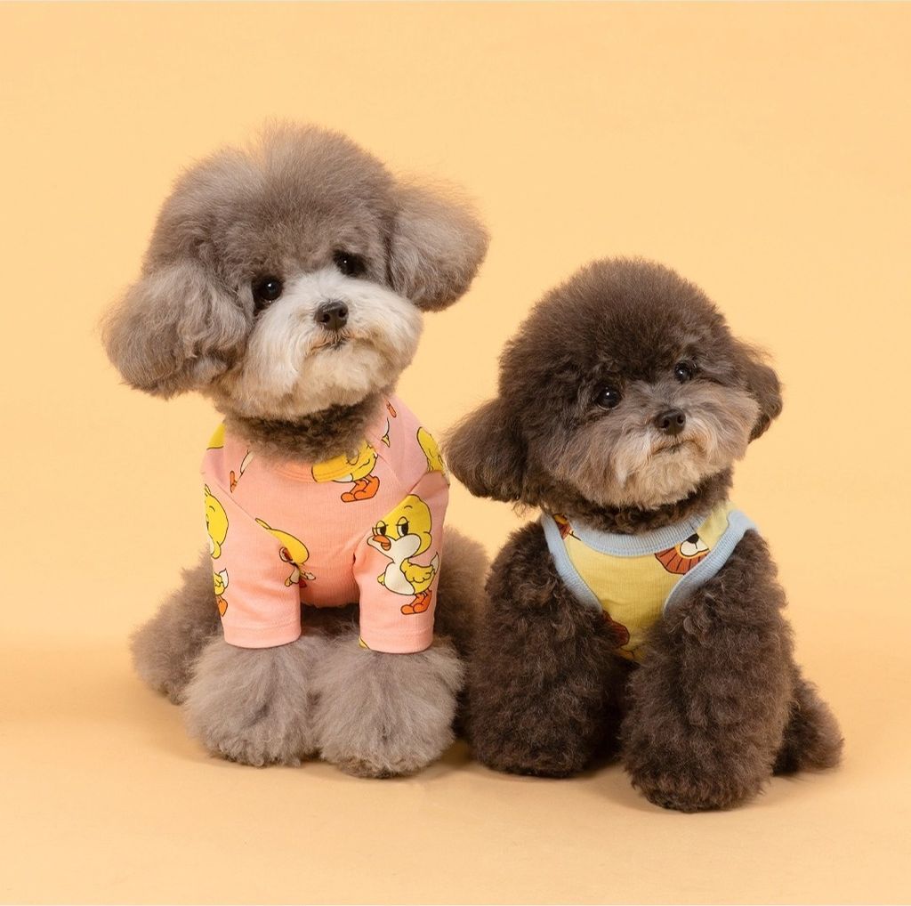 imgi_83_8d77833c069c8121