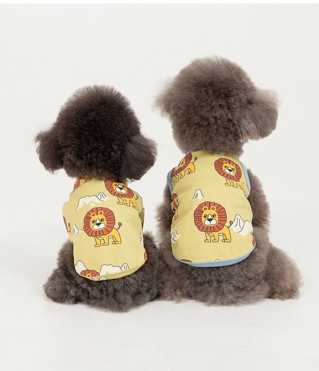 imgi_83_8d77833c069c81211