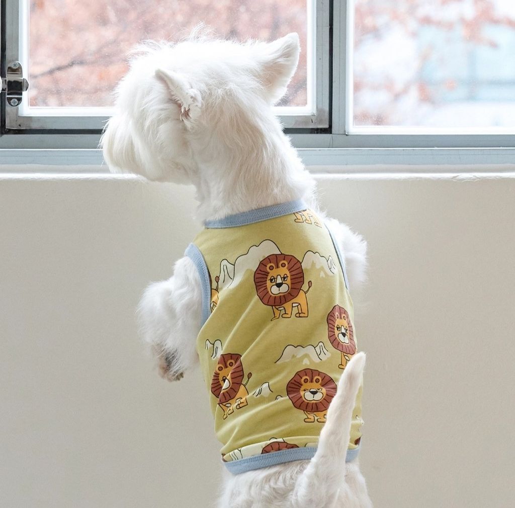 imgi_83_8d77833c069c812114