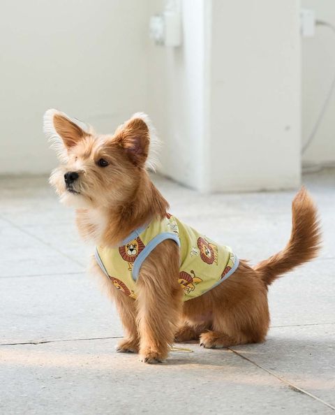 imgi_106_937e8a71b30dd