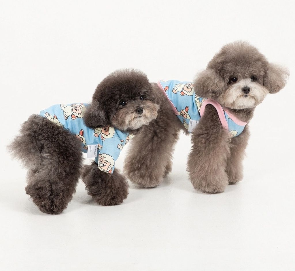 imgi_44_7d2418f58e1f336