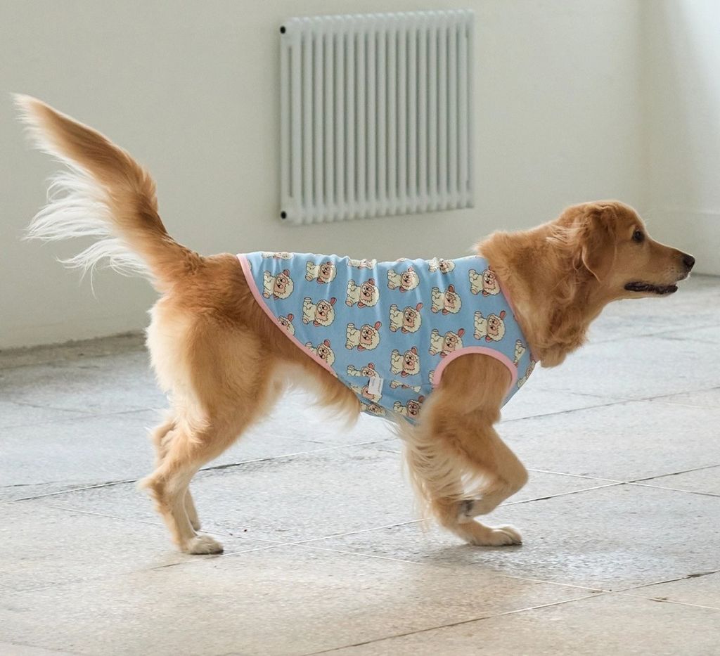 imgi_44_7d2418f58e1f3366