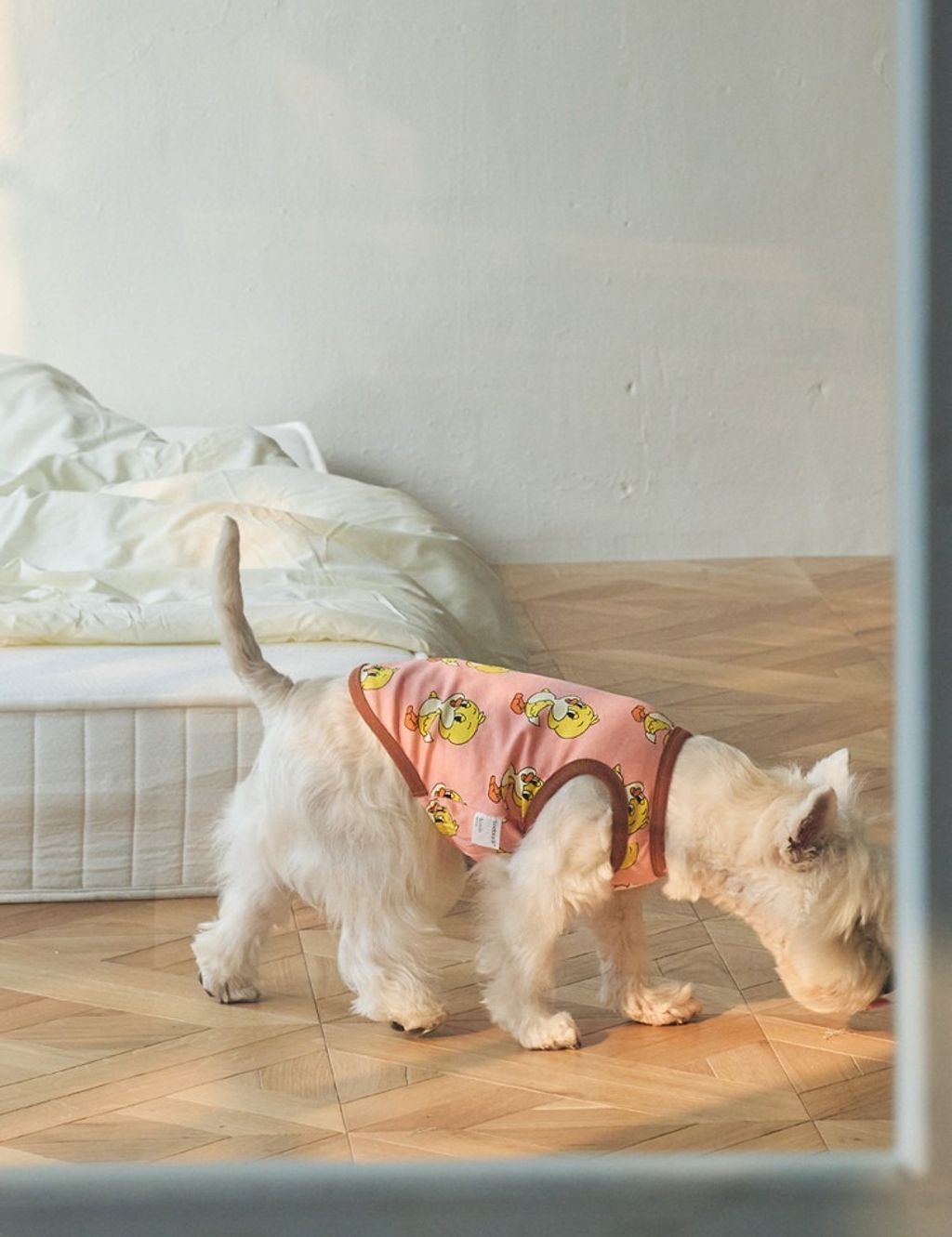 imgi_10_cc9966ff075a8