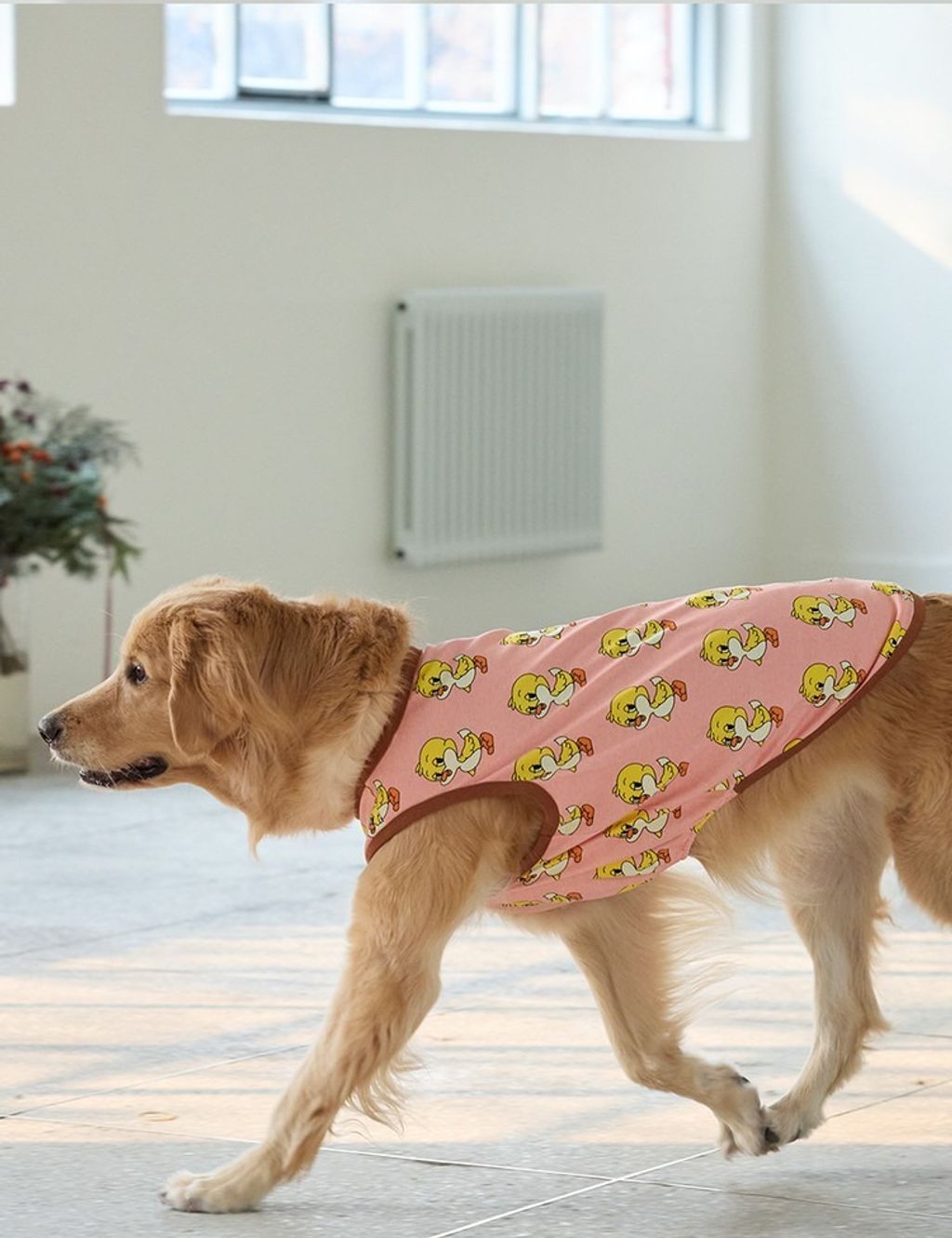 imgi_11_0b58e7c6ed128