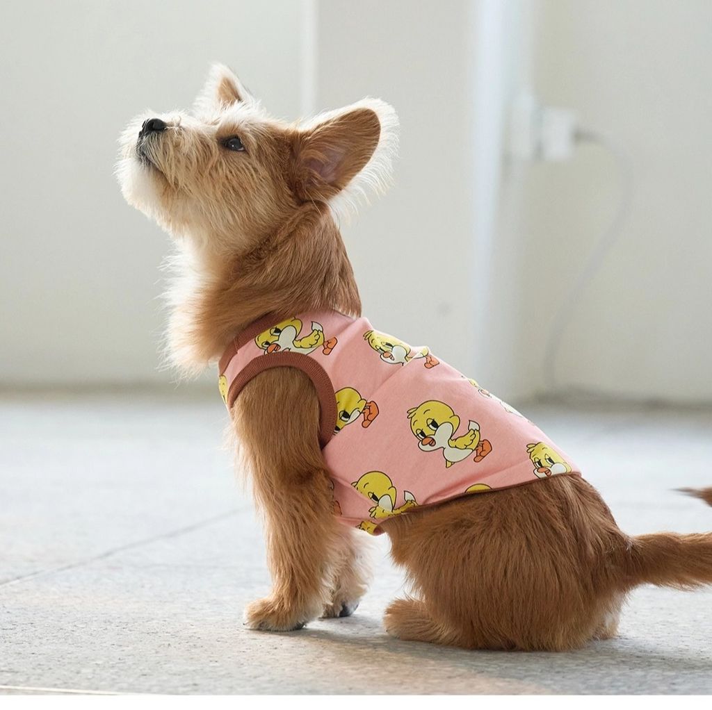 imgi_83_6597b541dd1028