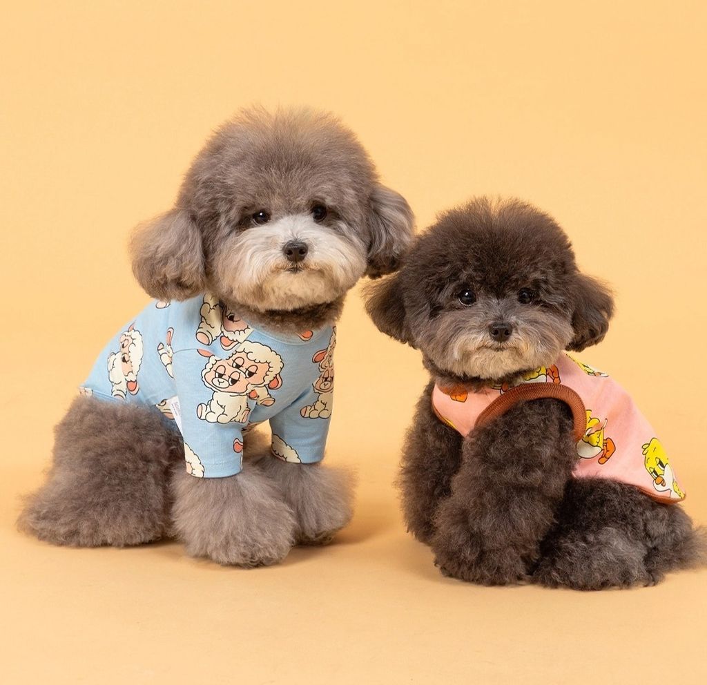 imgi_83_6597b541dd10288