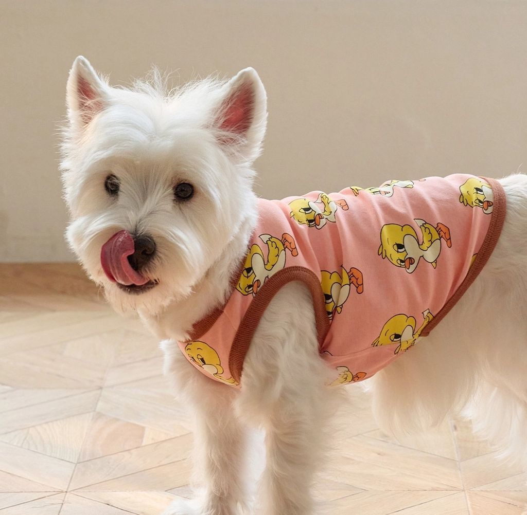 imgi_83_6597b541dd1024