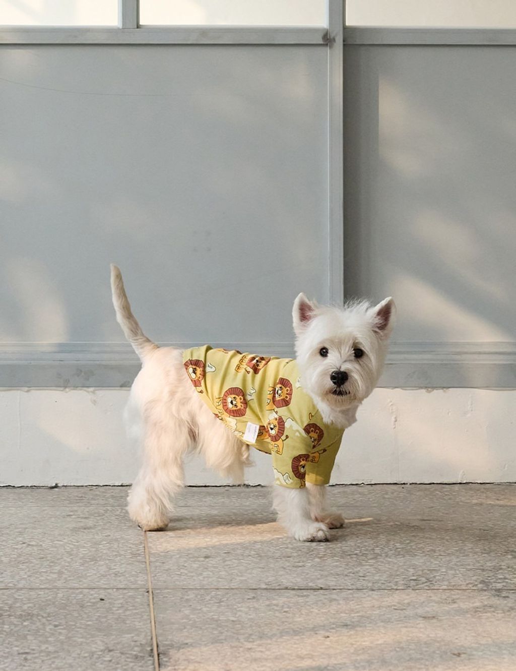 imgi_11_06df2578865e4