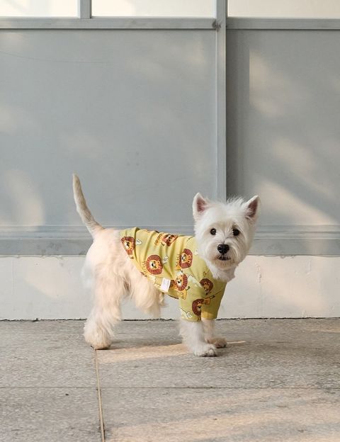 imgi_11_06df2578865e4