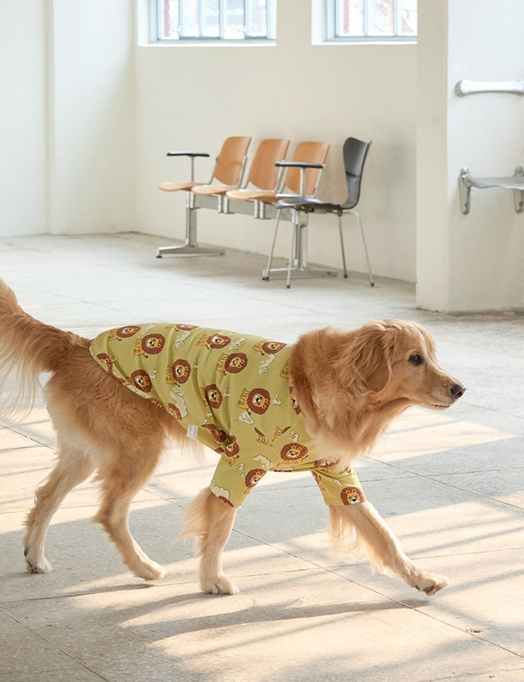 imgi_10_615ab069ed266