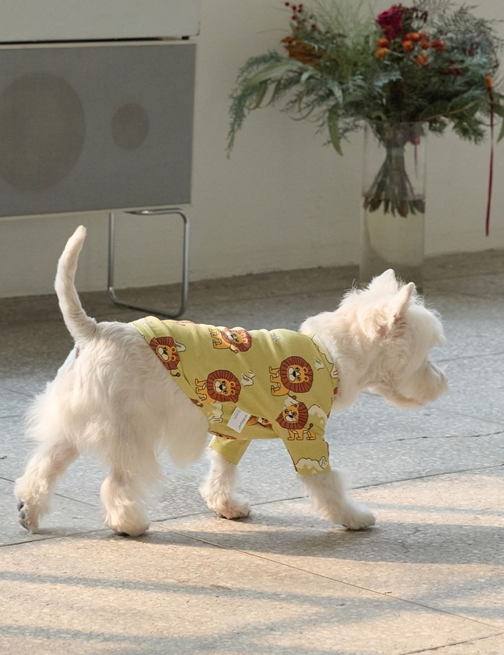 imgi_9_8cea2489819fd