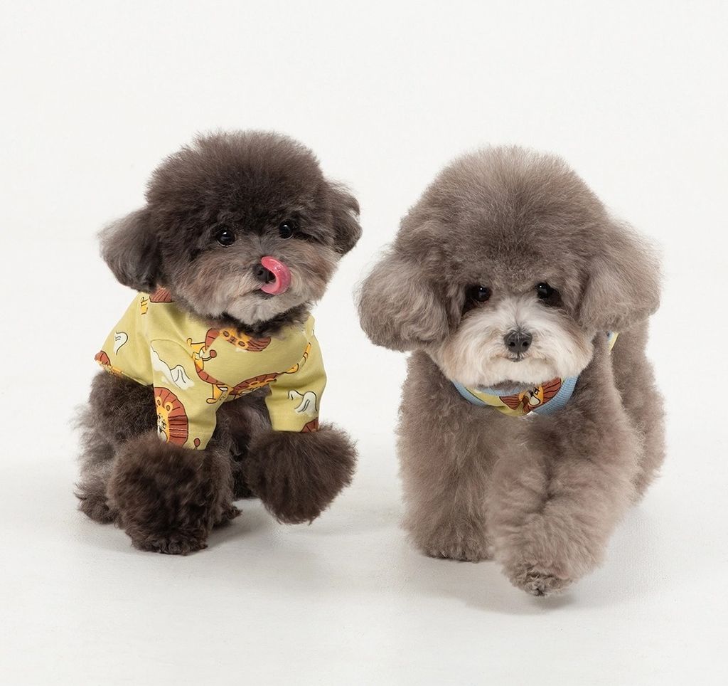 imgi_83_0260d09e386534