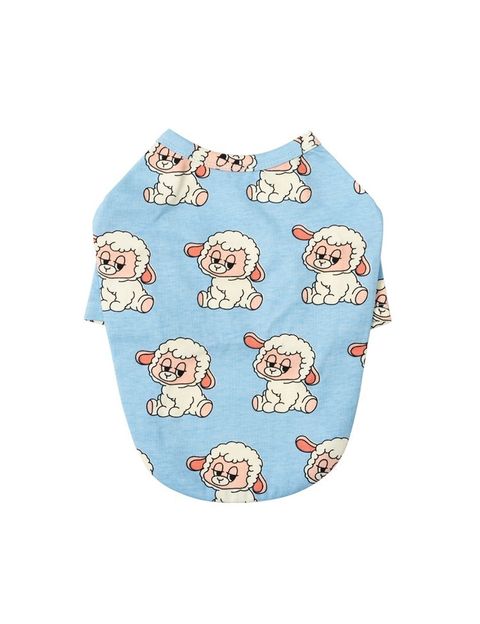 imgi_8_67ebb5153aa35