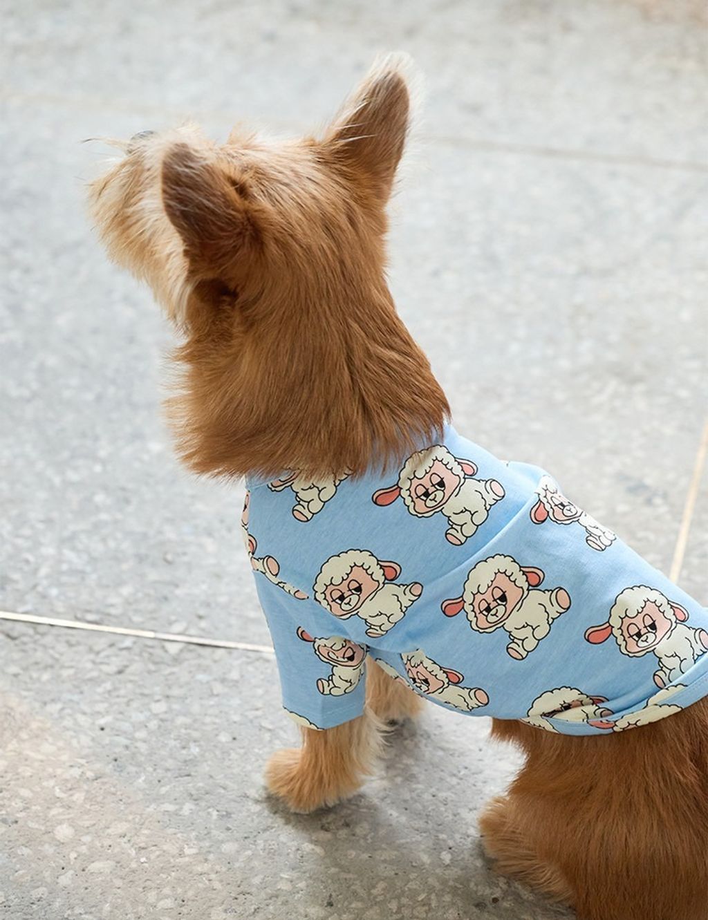 imgi_9_7baa03067165d