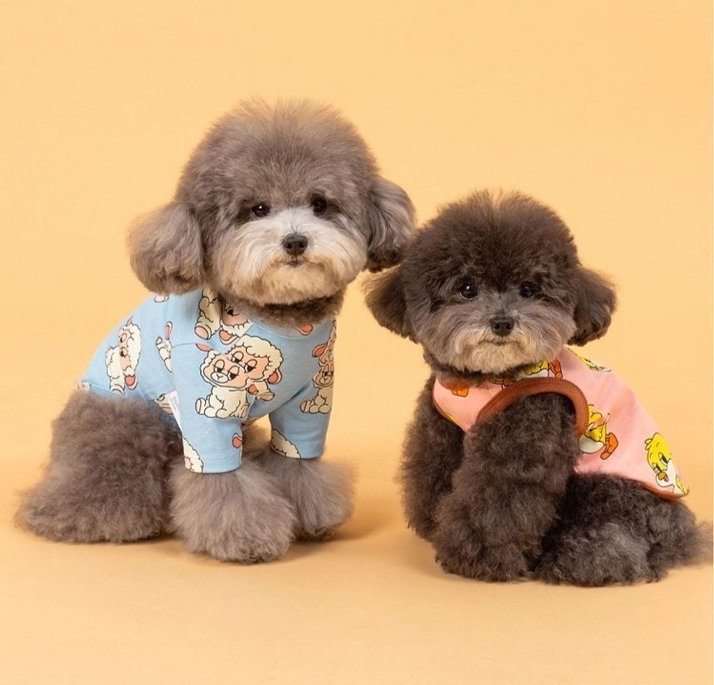 imgi_85_87eac57c054398