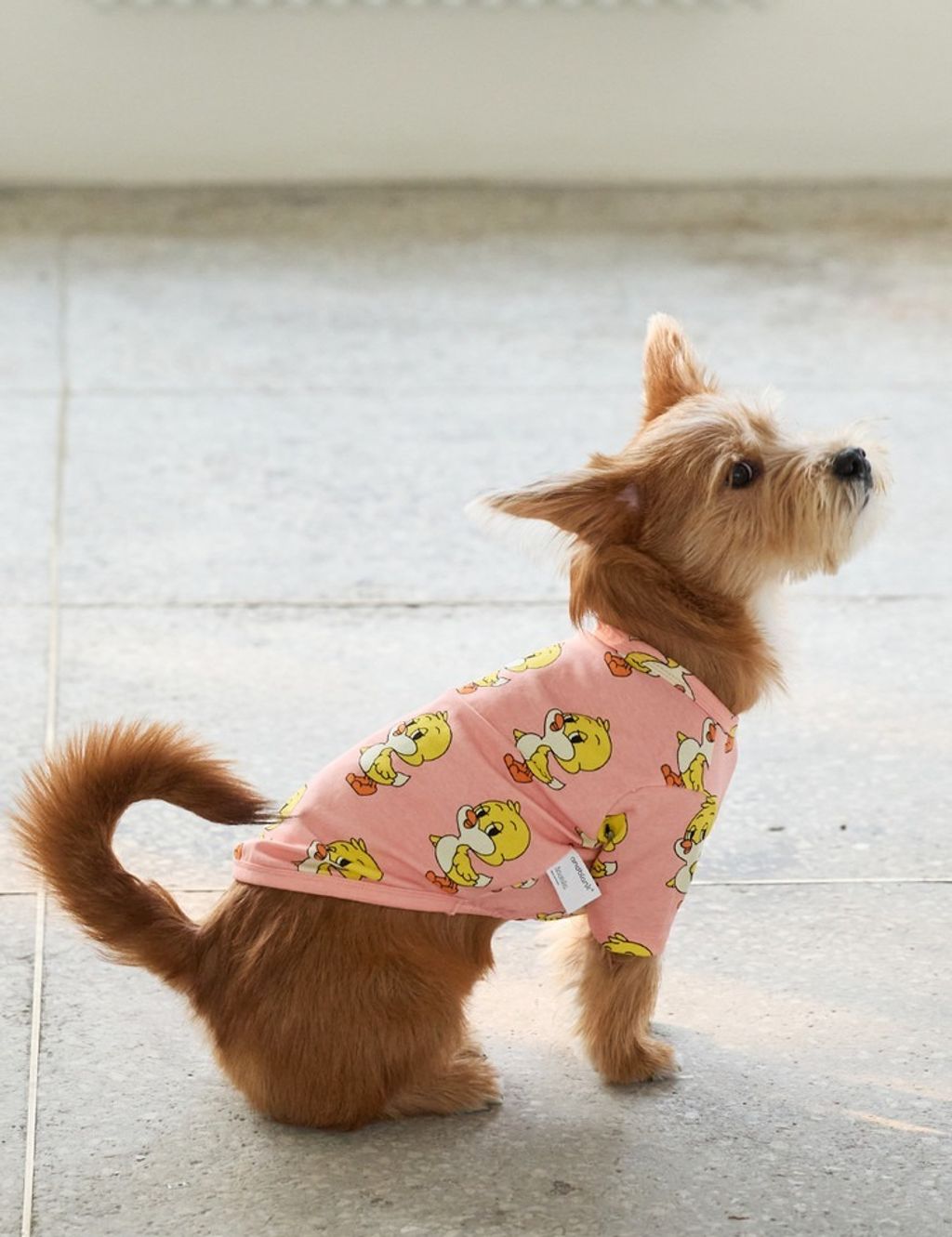 imgi_9_8629cf0610d45