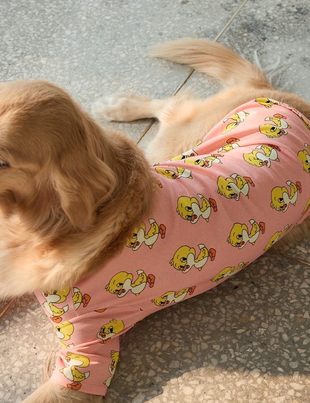 imgi_11_436ec256c7a34