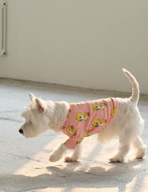 imgi_10_fab5c05a811de