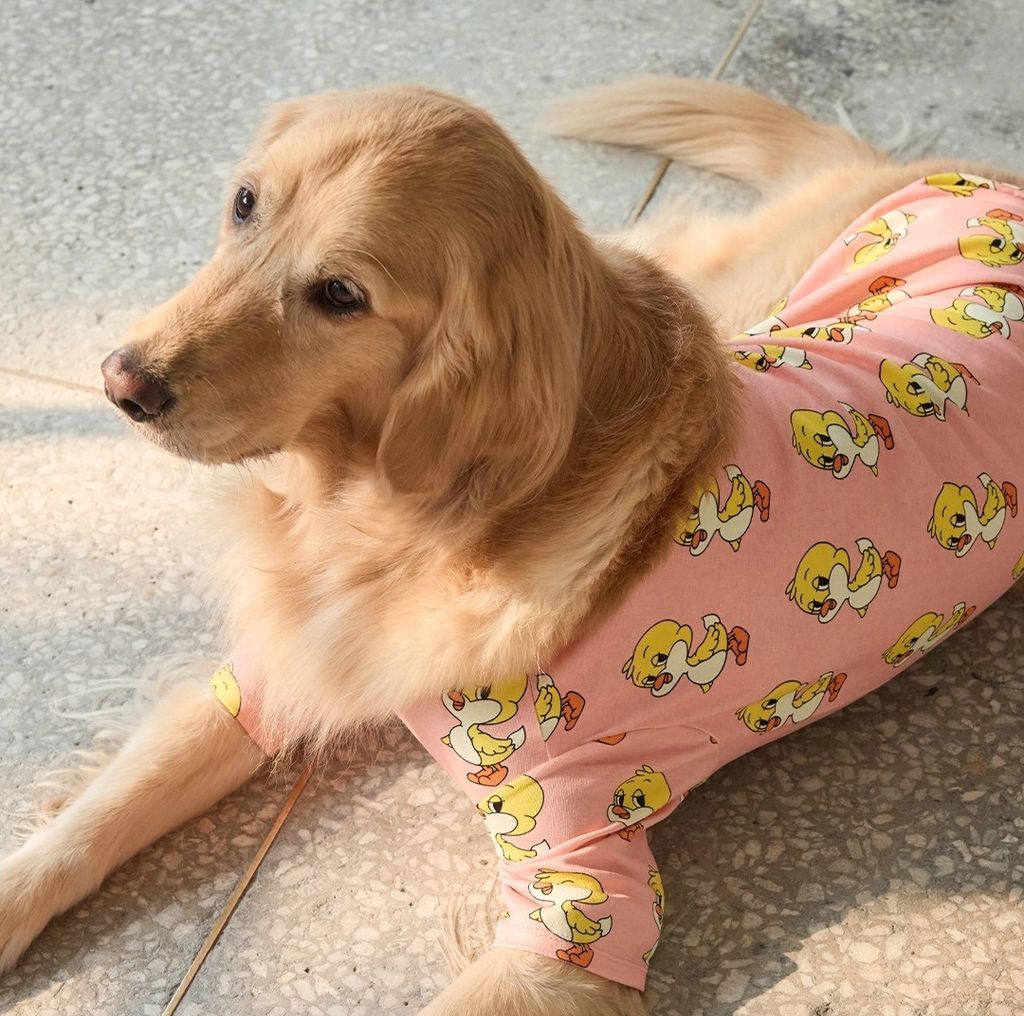 imgi_82_f8a8def843da81