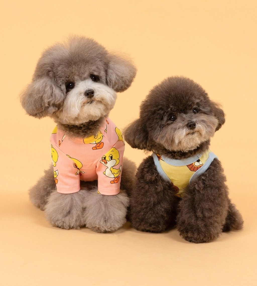 imgi_82_f8a8def843da8121