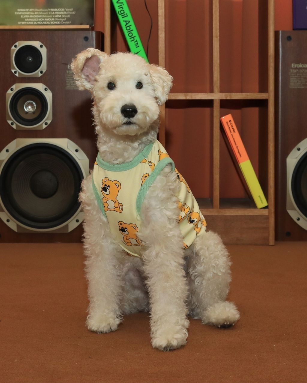 imgi_65_9eb24178244de拷貝2