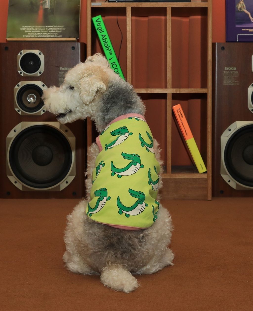 imgi_58_f84c951ba0844