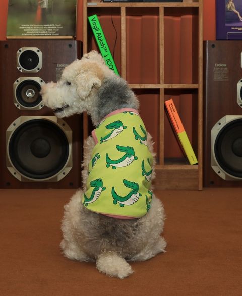 imgi_58_f84c951ba0844