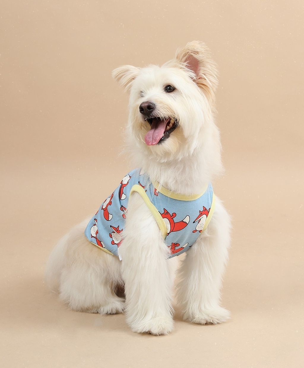 imgi_67_57a8975abc4b0拷貝