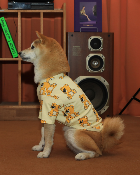 imgi_74_332c6c465ef84