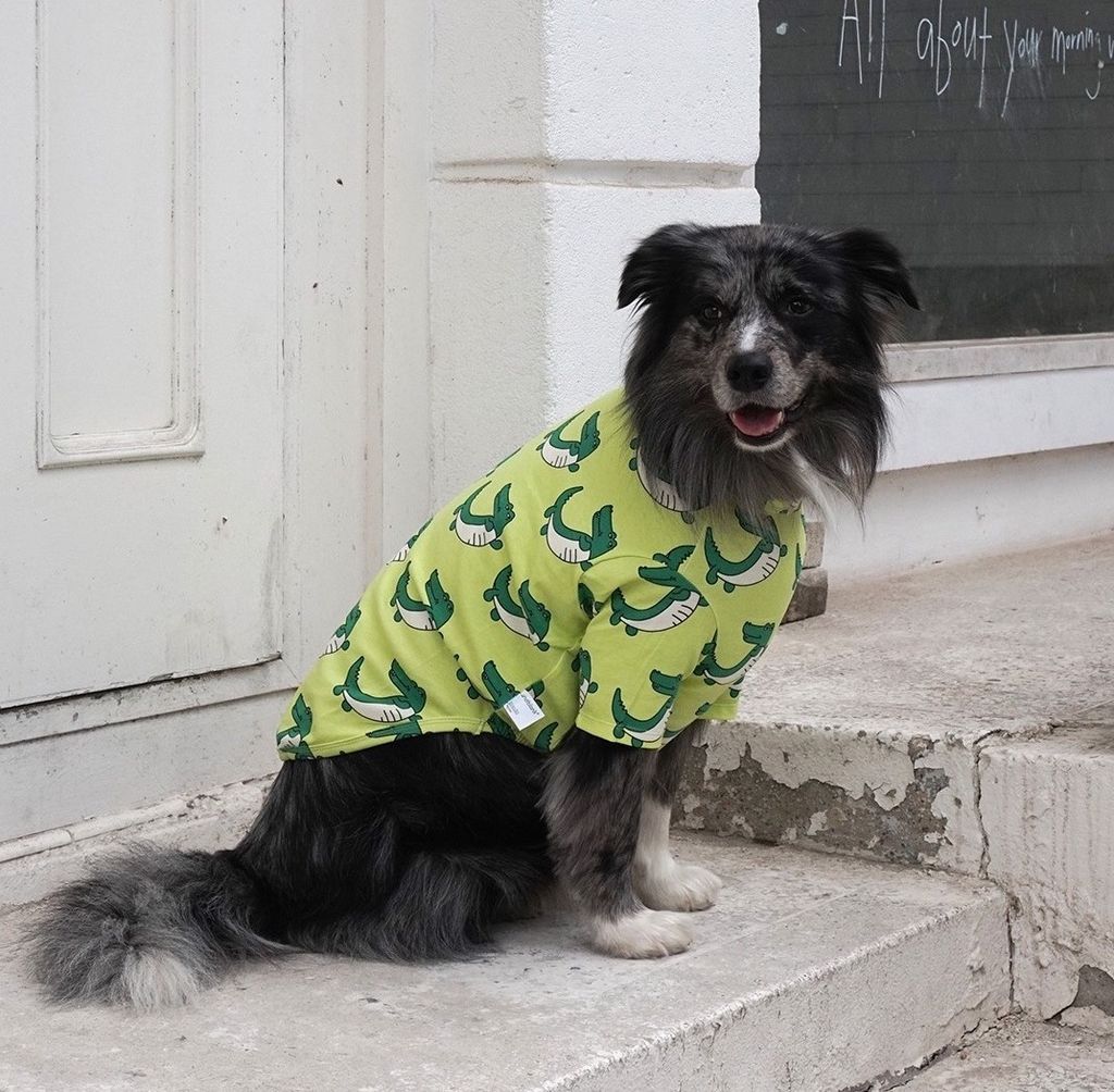 imgi_58_acf79ab650af6