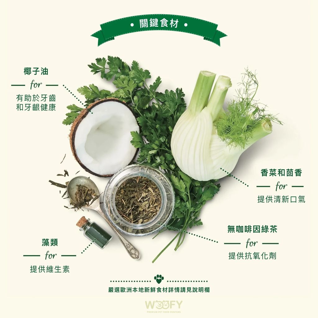 imgi_10_WoofbrushDental-1