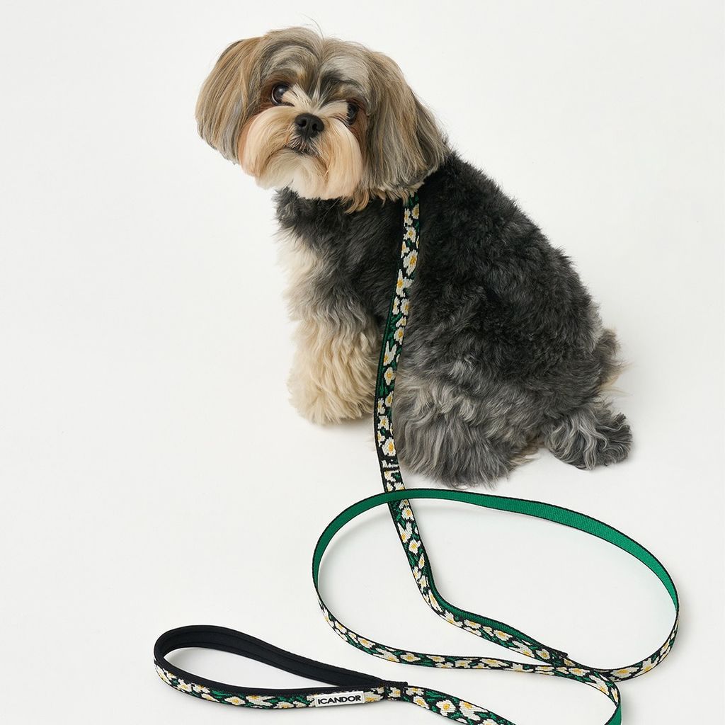 imgi_12_72020ee188611f4cfabe1b27ba3f8b28