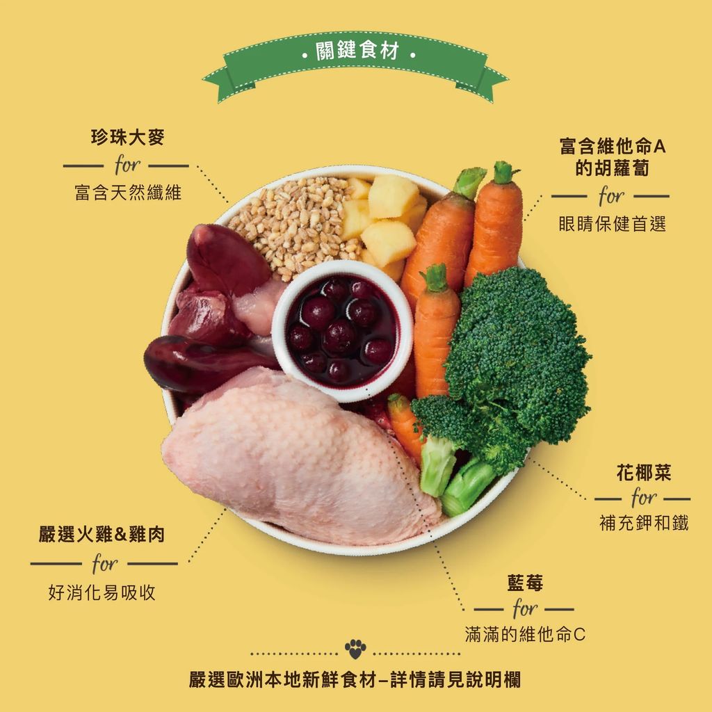 imgi_11_ChickenTurkeyCasserole400-1