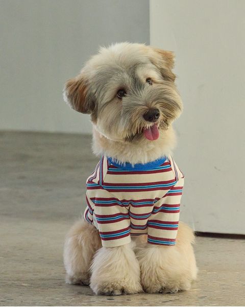 imgi_41_37a73bb2e5287