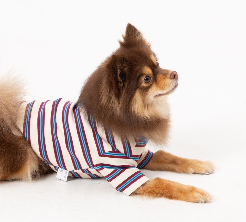 imgi_41_37a73bb2e528710