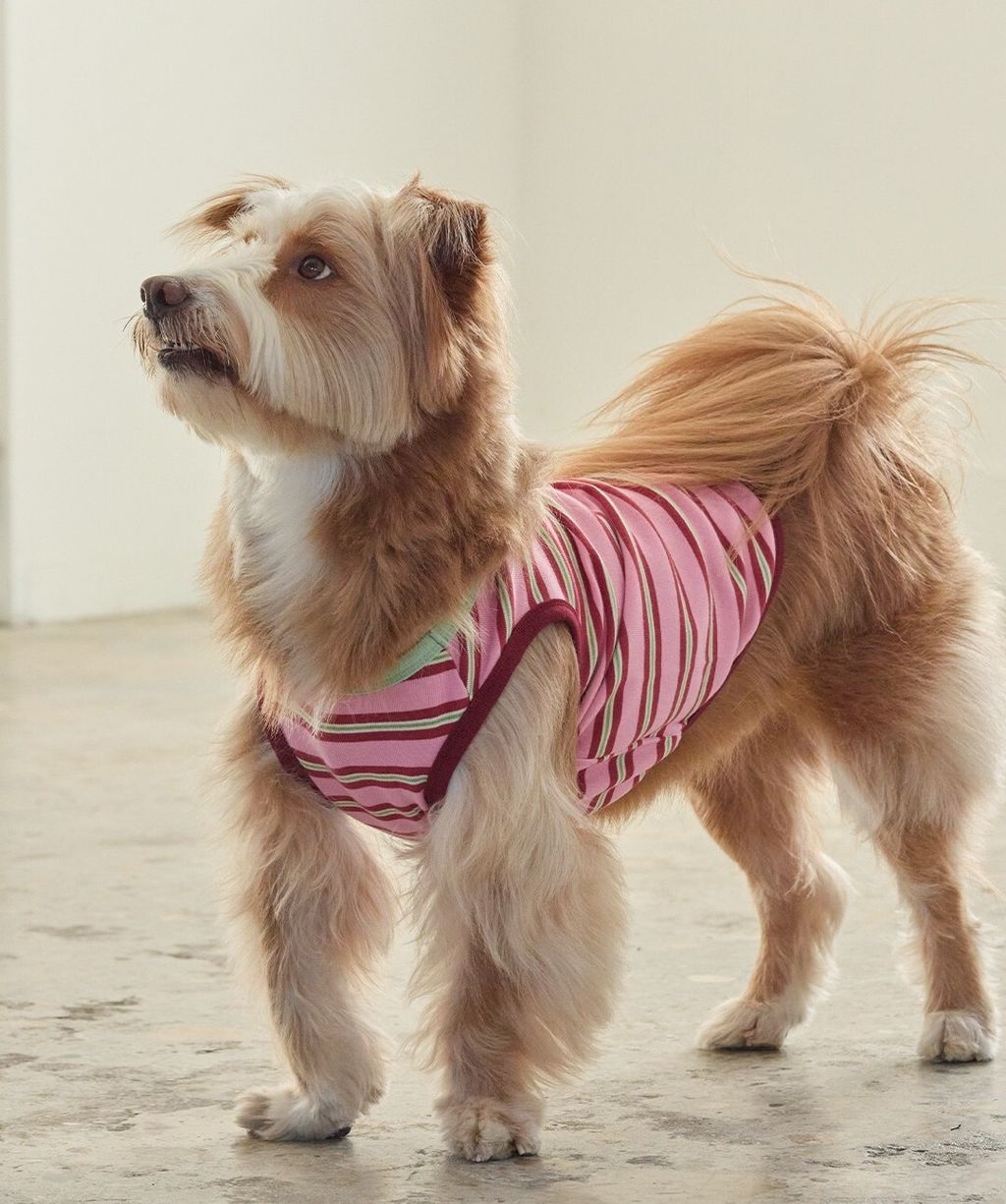 imgi_41_387f90c2e8dd7 (1)1