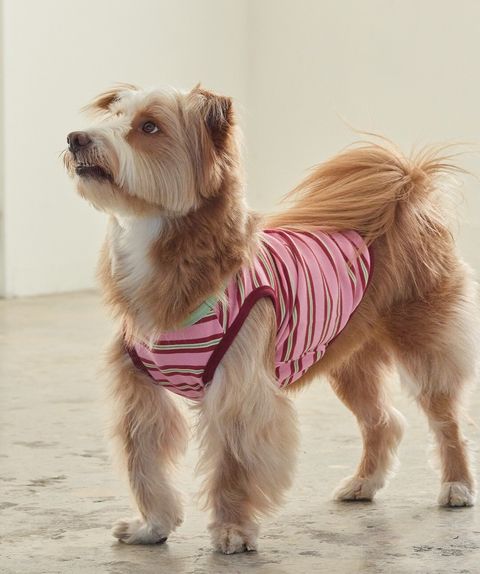 imgi_41_387f90c2e8dd7 (1)1