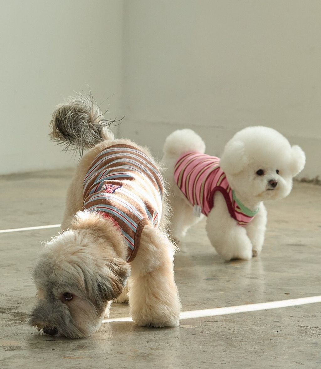 imgi_41_387f90c2e8dd7 (1)66