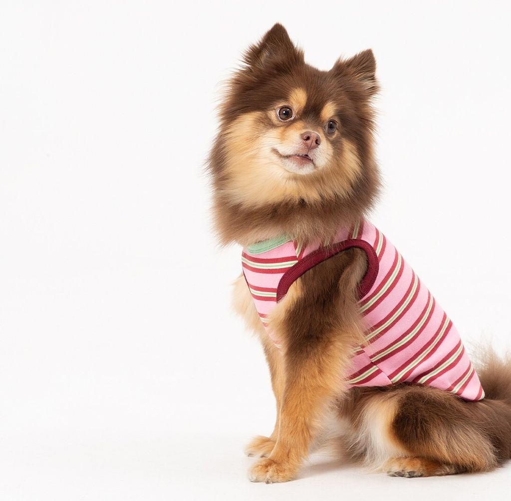 imgi_41_387f90c2e8dd7 (1)88