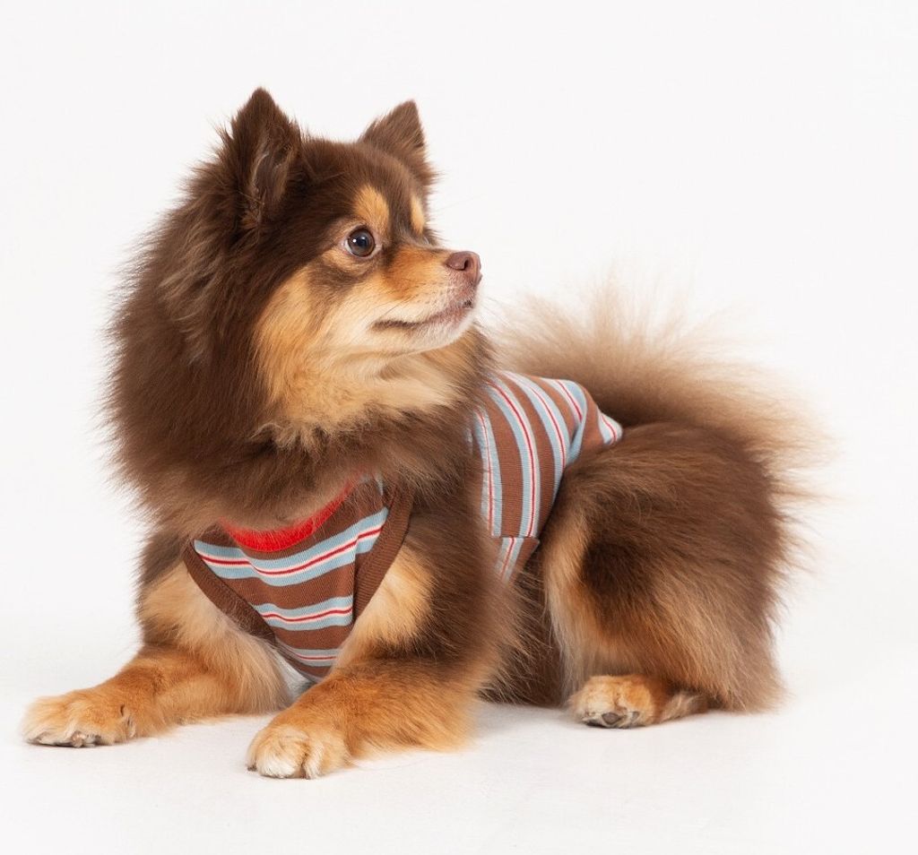 imgi_19_fd782308634747878