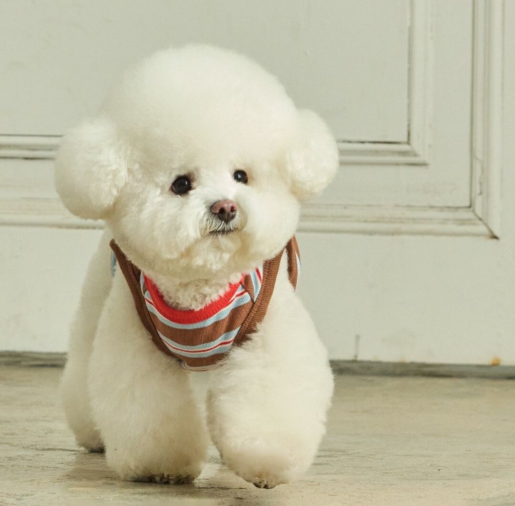 imgi_19_fd7823086347489