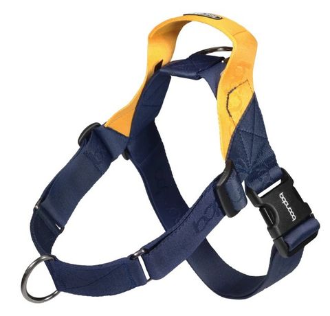 imgi_43_Revamped_Navy