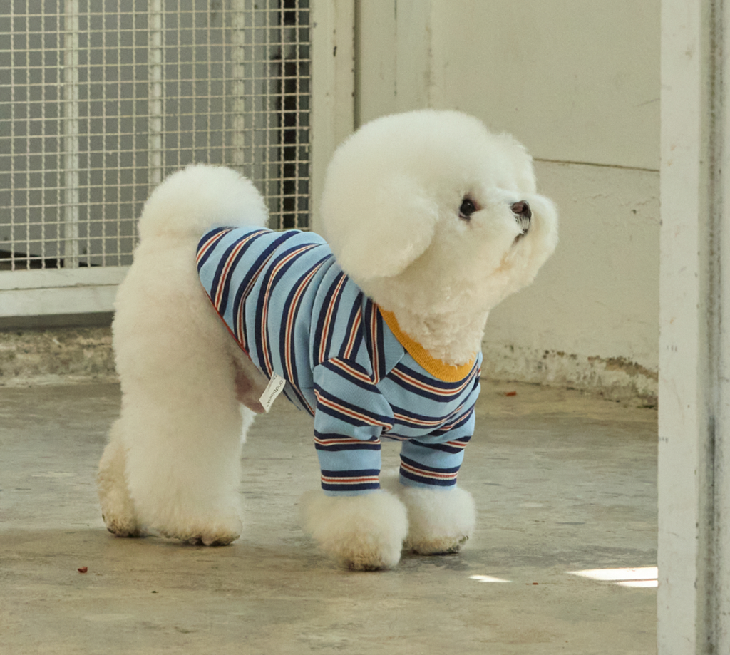 截圖 2026-02-14 上午1.21.16