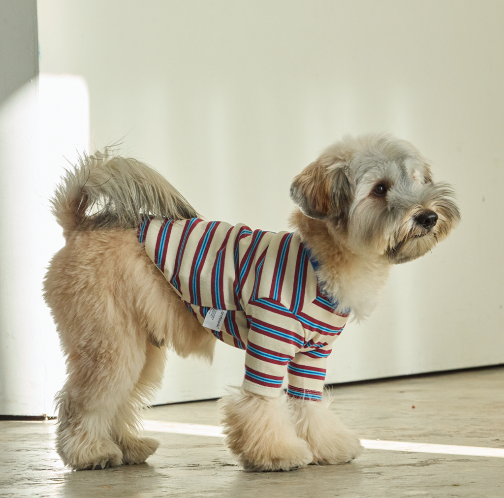 截圖 2026-02-14 上午1.23.56