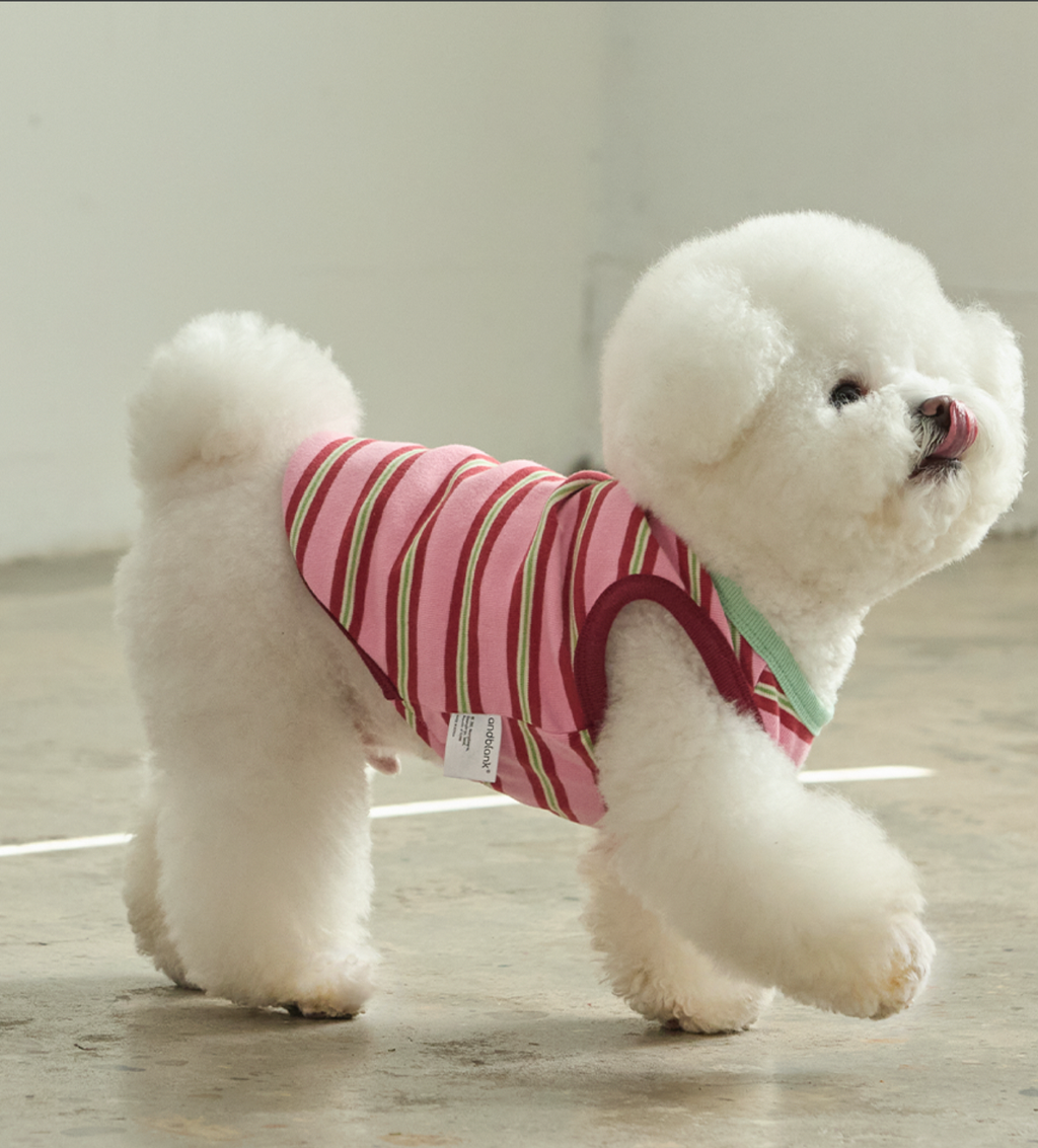 截圖 2026-02-14 上午1.29.43